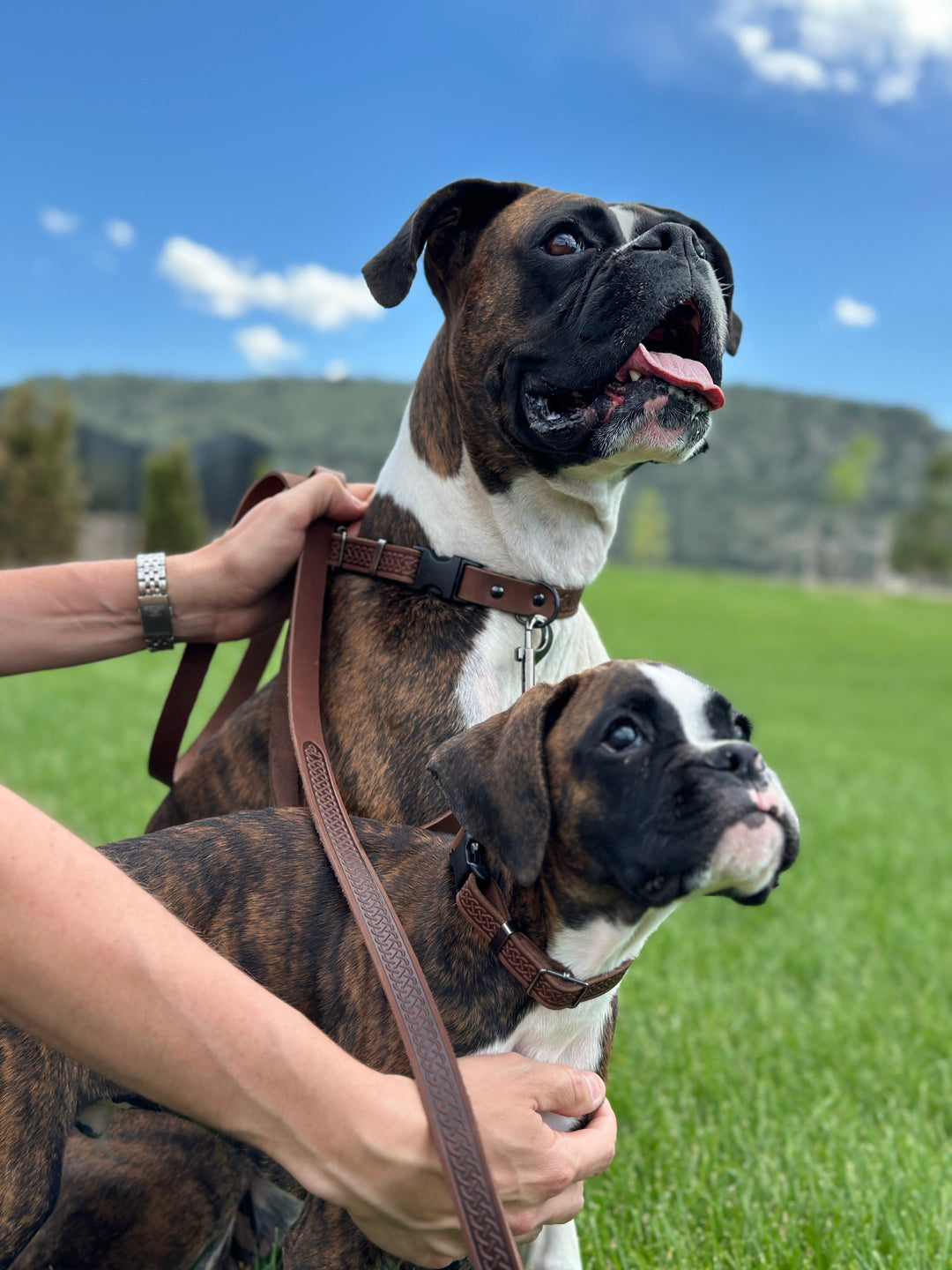 Celtic Sport Leather Dog Leash