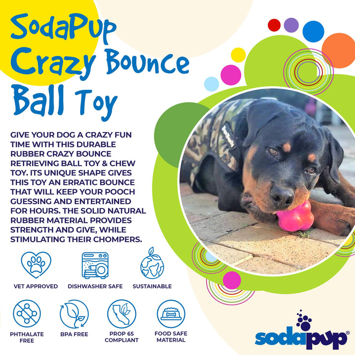 Crazy Bounce Rubber Dog Chew Toy for Power Chewers | Retrieving Ball | USA Made