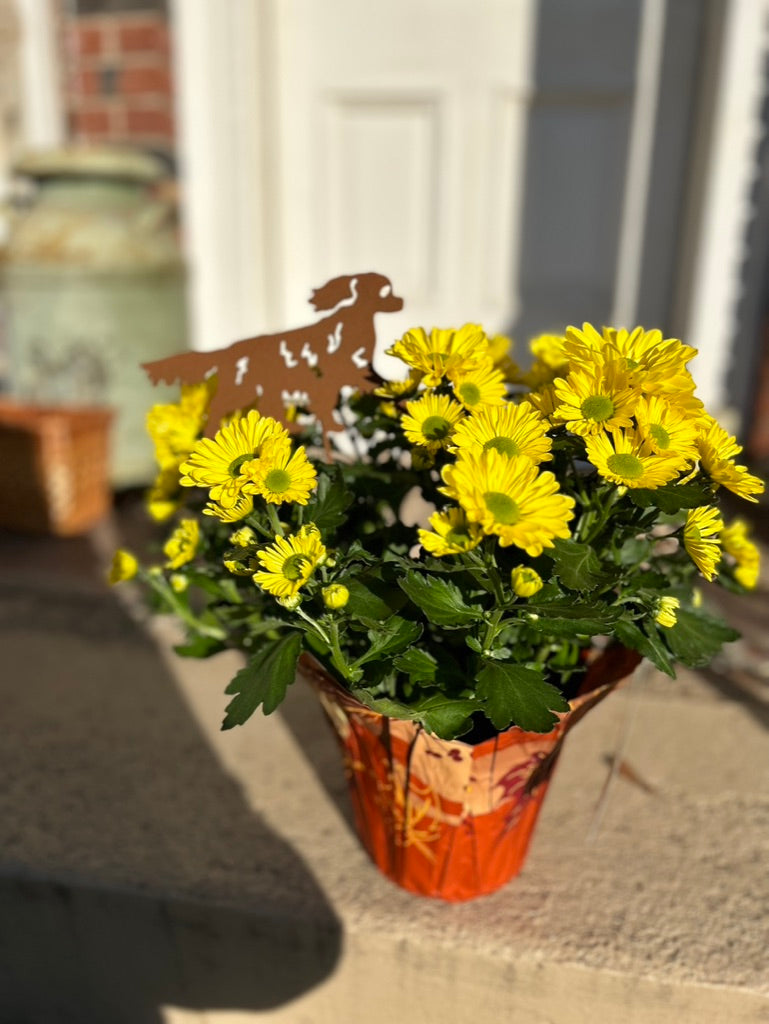 Cavalier King Charles Spaniel Plant Stake / Plant Trellis