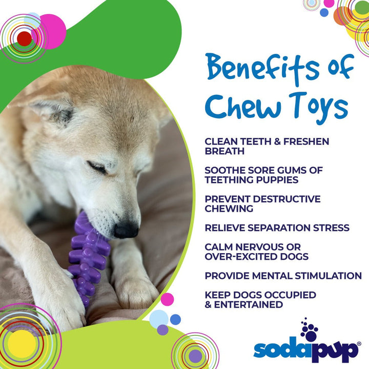 Fish Bone Nylon Dog Toy for Aggressive Chewers | USA Made | SodaPup