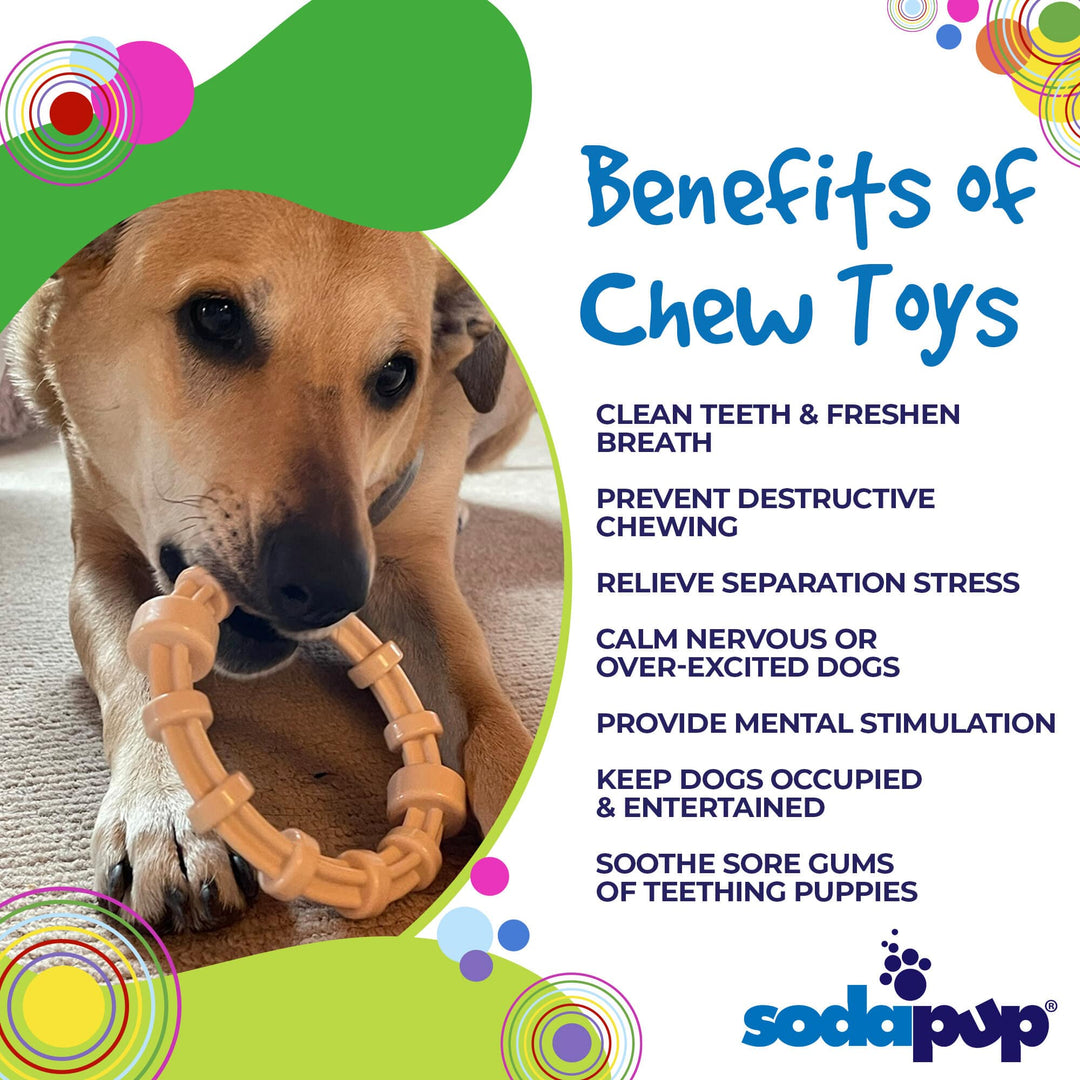 Chicken Flavored Teething Ring for Puppies &amp; Aggressive Chewers | USA Made