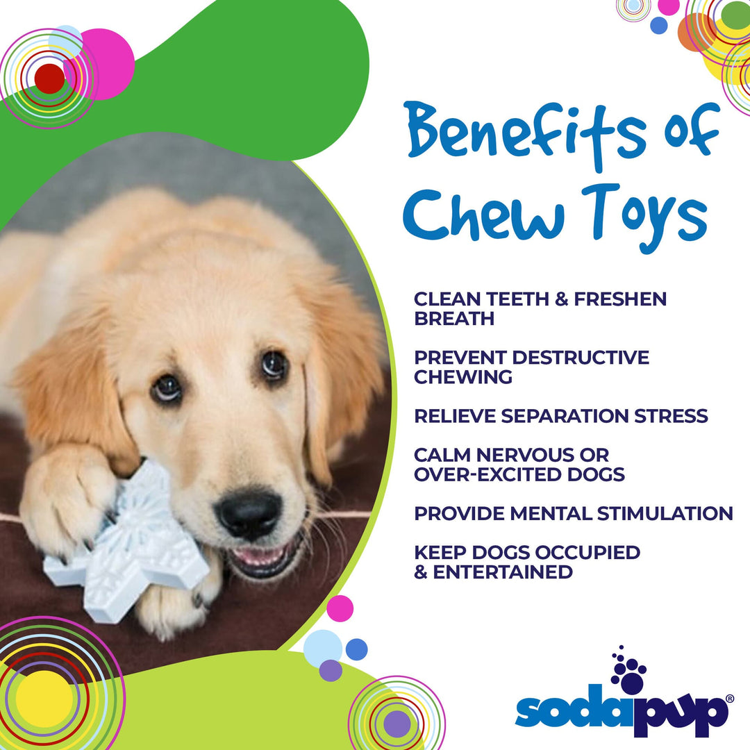 Snowflake Nylon Dog Chew Toy for Aggressive Chewers | USA Made &amp; FDA Compliant
