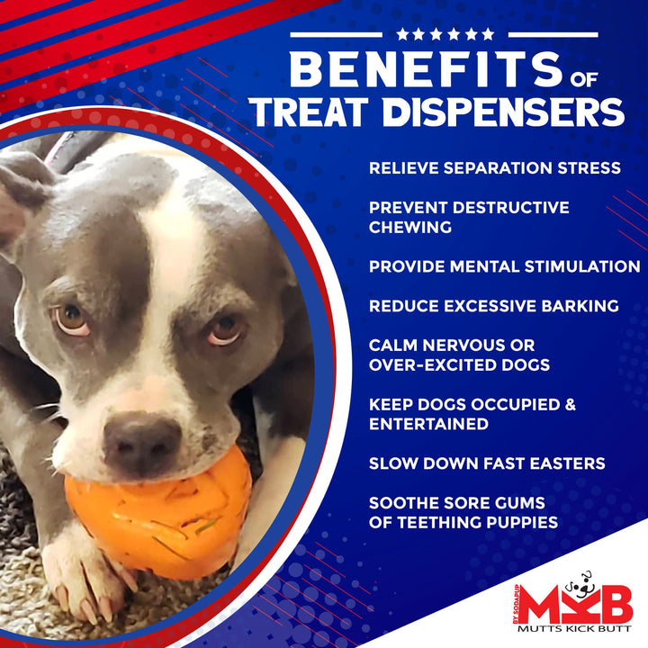 Roasted Turkey Dog Chew Toy &amp; Treat Dispenser - USA Made | SodaPup