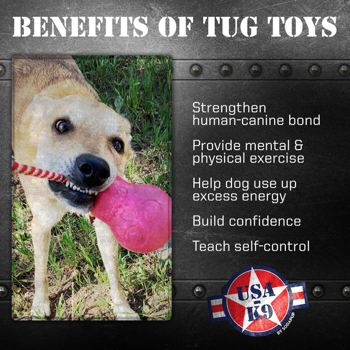 USA-K9 Skull Dog Chew Toy &amp; Treat Dispenser - Made in USA | SodaPup