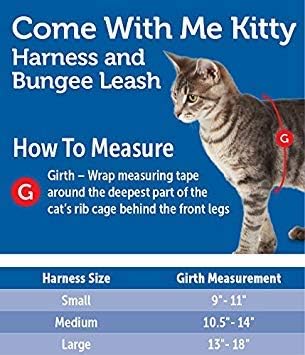 Come With Me Kitty Cat Harness &amp; Bungee Leash Small Black