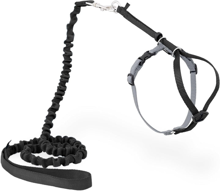 Come With Me Kitty Cat Harness &amp; Bungee Leash Large Black