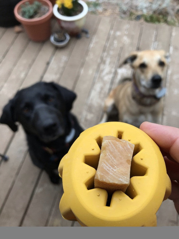 Gear eDispenser - Durable Rubber Yak Chew Holder &amp; Treat Pocket | USA Made