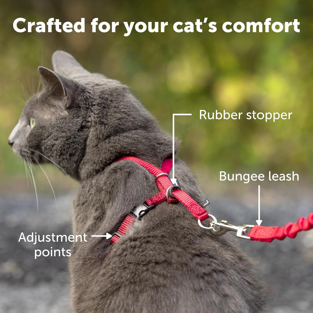 Come With Me Kitty Cat Harness &amp; Bungee Leash Large Black