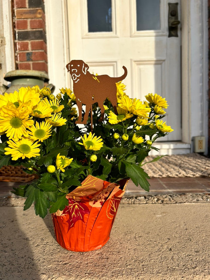Labrador Retriever Ornament or Decorative Plant Stake
