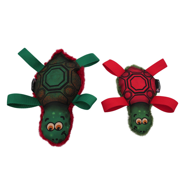 Tommy Turtle