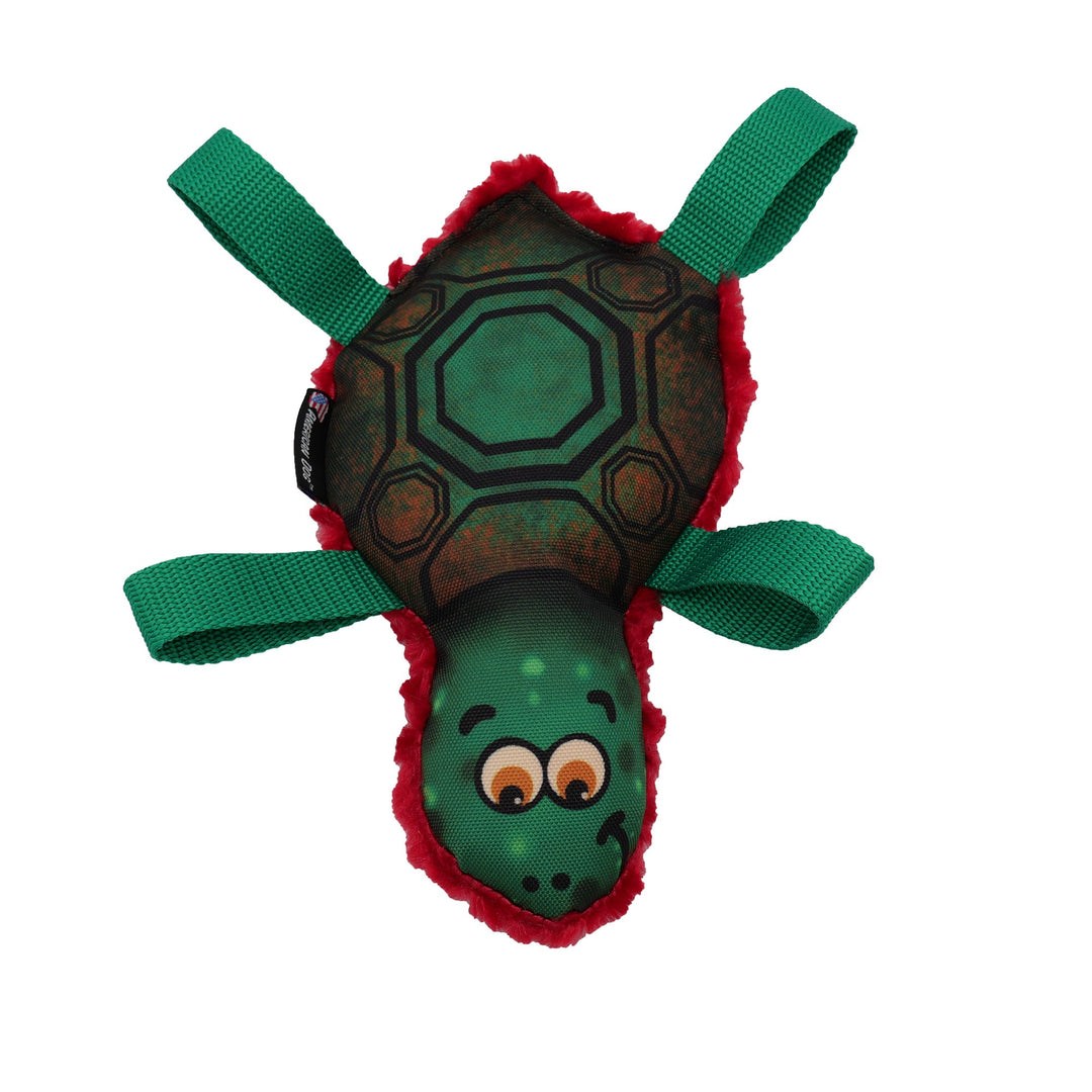 Tommy Turtle