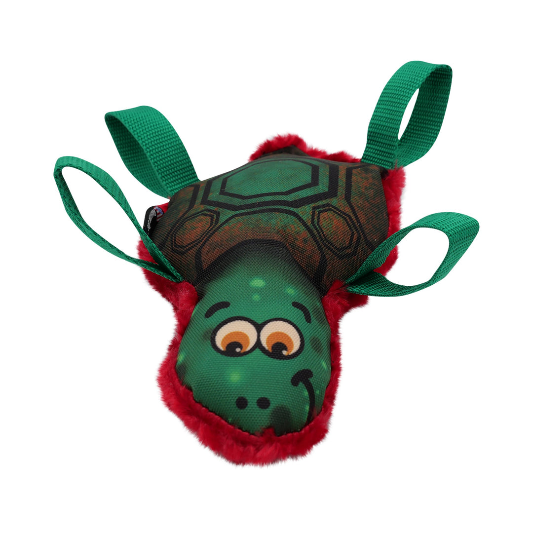 Tommy Turtle