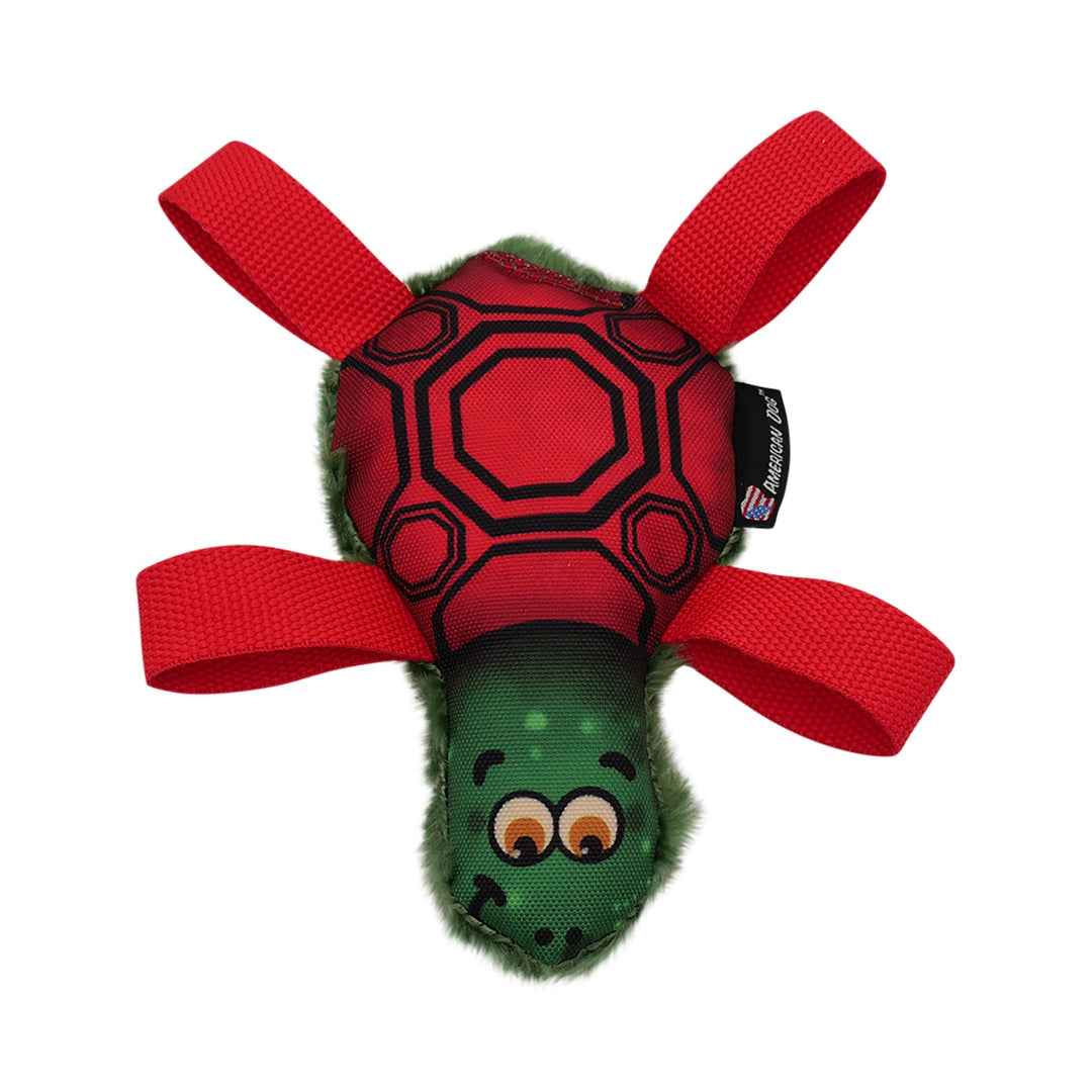 Tommy Turtle