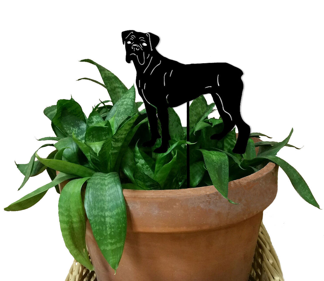 Boxer Plant Stake