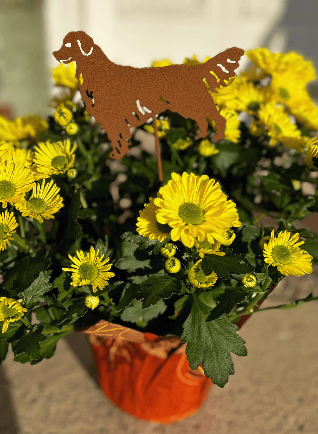 Golden Retriever Plant Stake