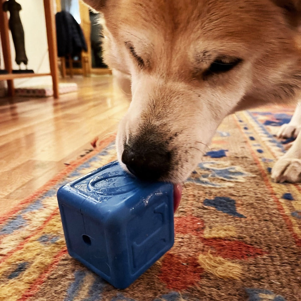 Love Cube eDispenser - Durable Rubber Chew Toy &amp; Treat Dispenser | USA Made