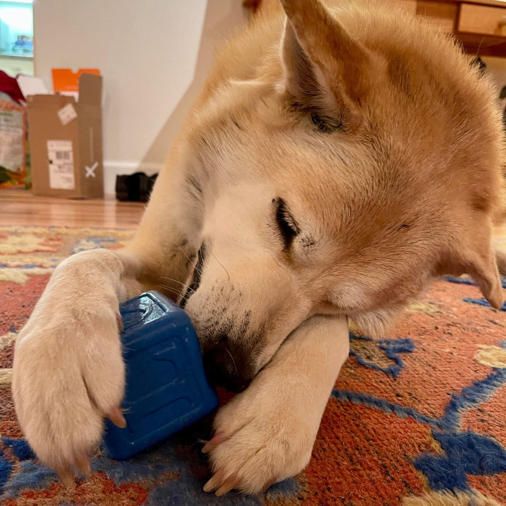 Love Cube eDispenser - Durable Rubber Chew Toy &amp; Treat Dispenser | USA Made