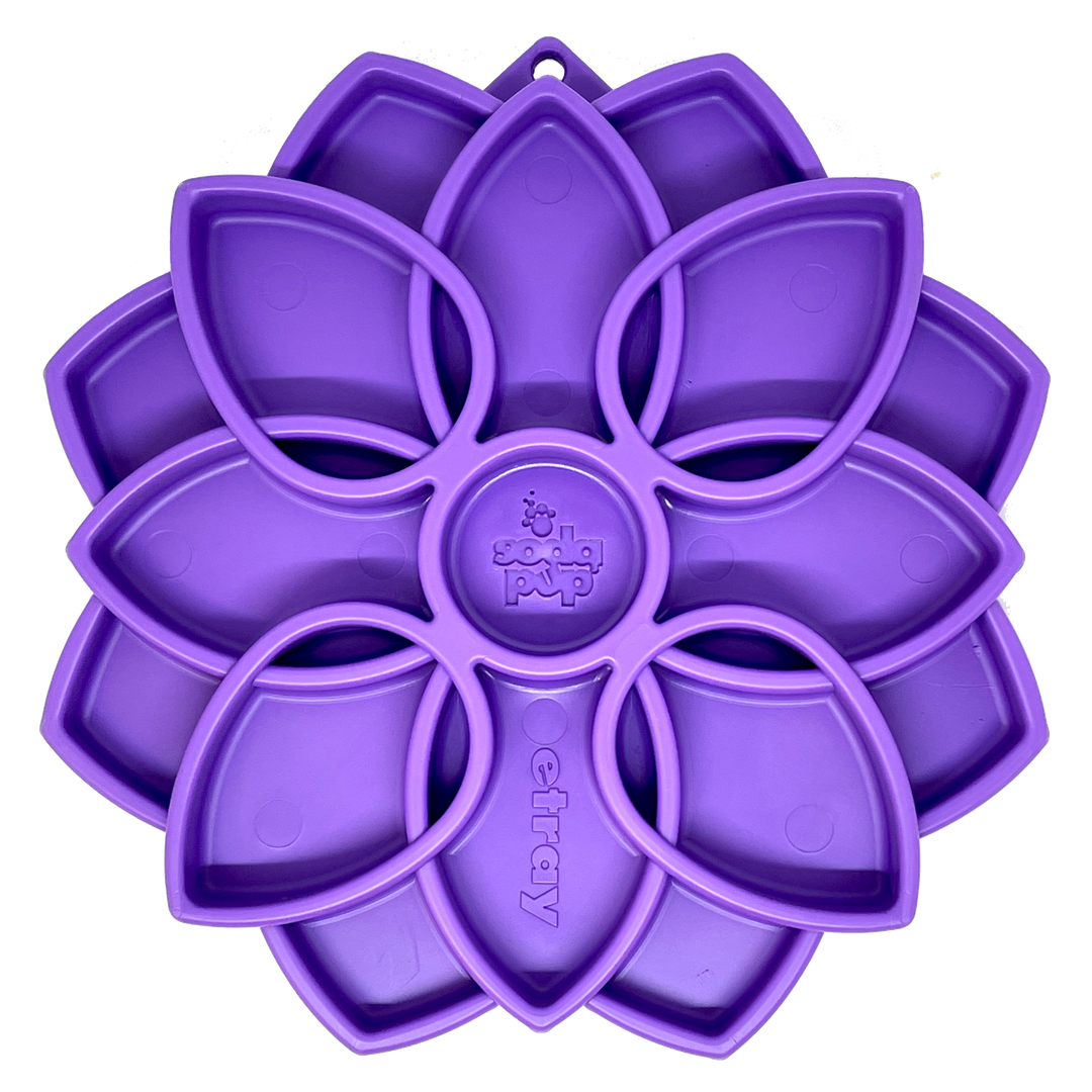 Mandala eTray Shallow Slow Feeder Dog Bowl for Enrichment | USA Made