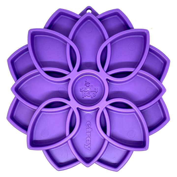 Mandala eTray Shallow Slow Feeder Dog Bowl for Enrichment | USA Made