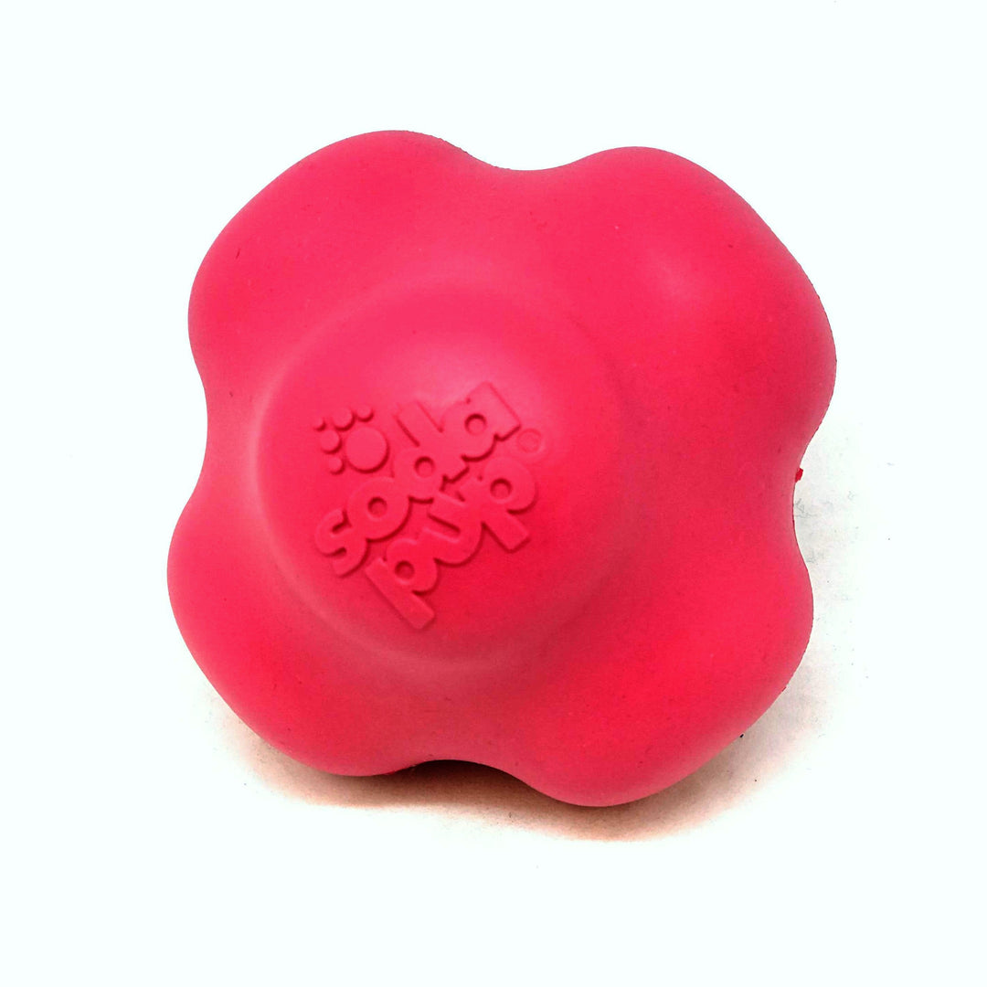 Crazy Bounce Rubber Dog Chew Toy for Power Chewers | Retrieving Ball | USA Made