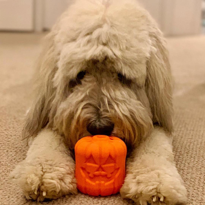 Jack O&
