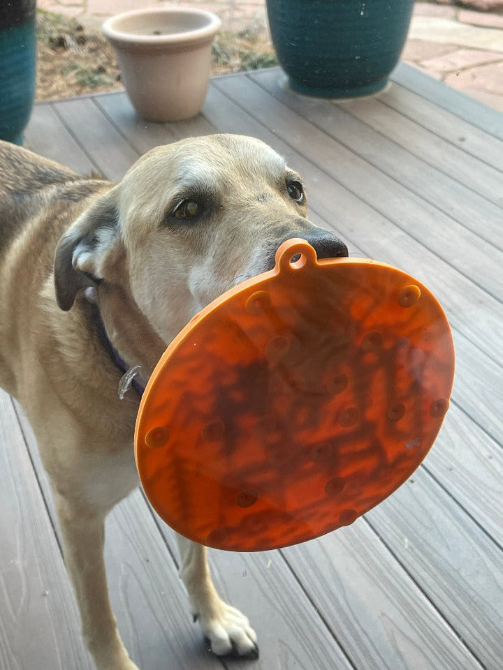 Camp eMat - Enrichment Lick Mat For Dogs and Cats - with Suction Cups | Retro Van Design | USA Made