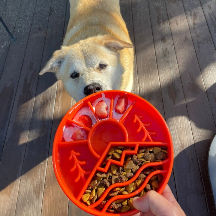Great Outdoors eBowl - Slow Feeder Dog Bowl &amp; Enrichment | USA Made