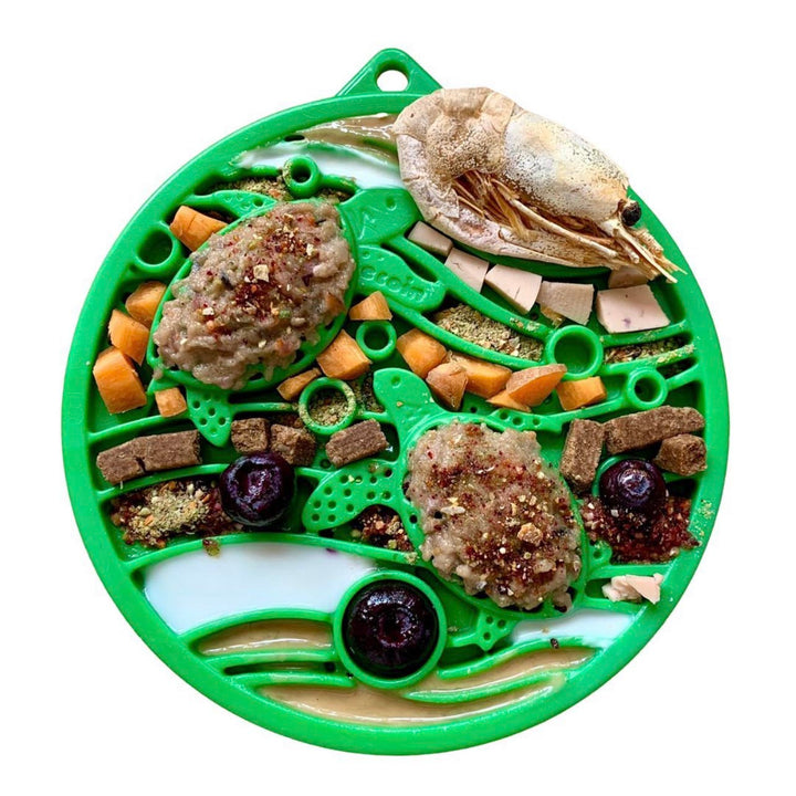 Water Nylon eCoin Durable Enrichment Snacking Coin for Dogs | USA-Made Lick Mat Alternative