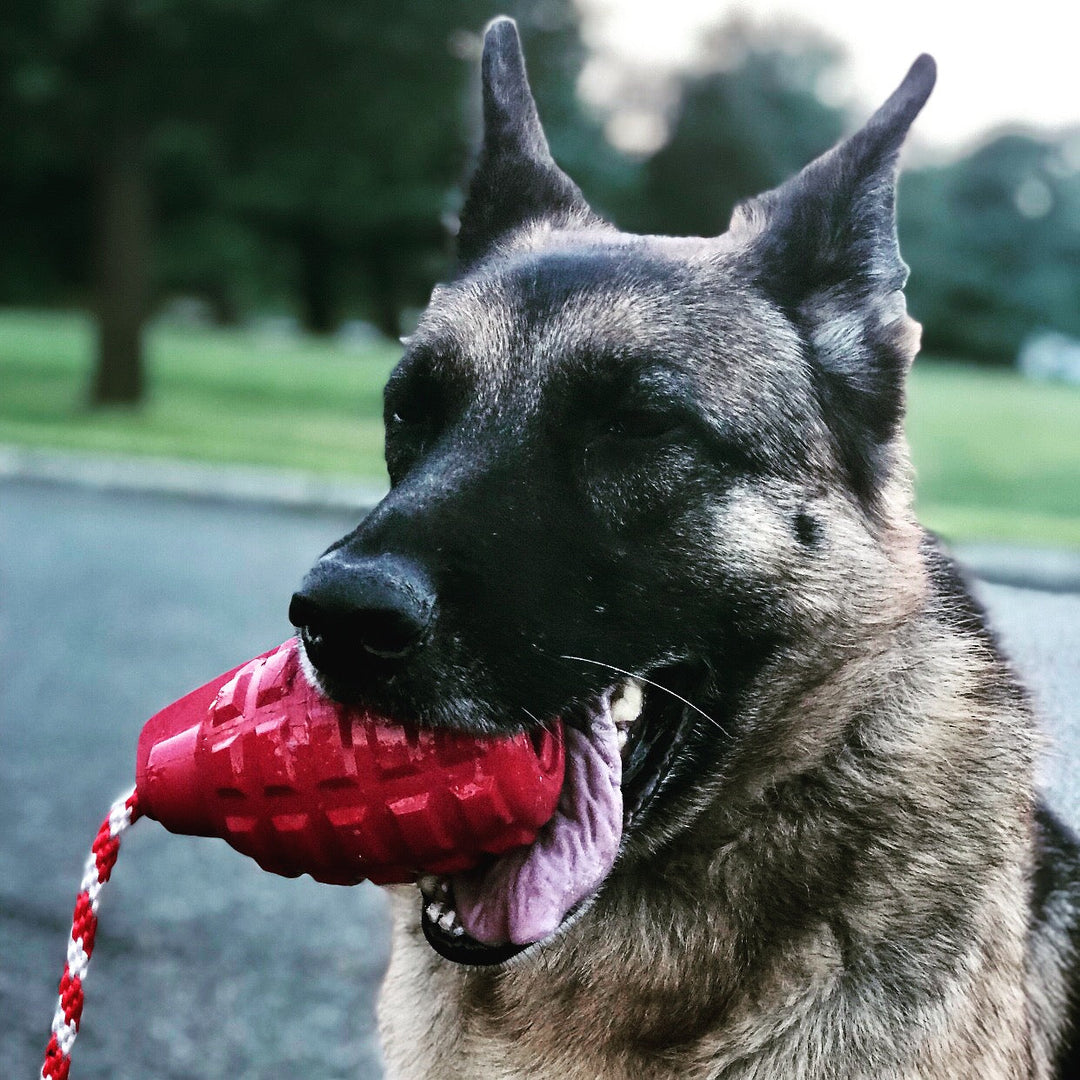 USA-K9 Grenade Shaped Rubber Dog Toy - Chew, Treat Dispenser &amp; Tug Toy | USA - Army Green