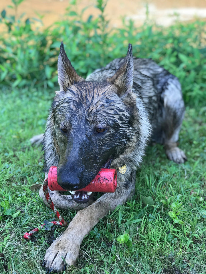 USA-K9 Firecracker Floating Training Dummy | K9 Handler Reward Toy | Red | USA Made