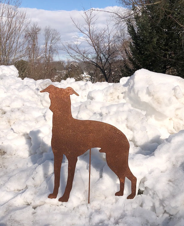 Italian Greyhound Statue or Dog Wall Art