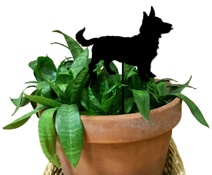 Lancashire Heeler Plant Stake