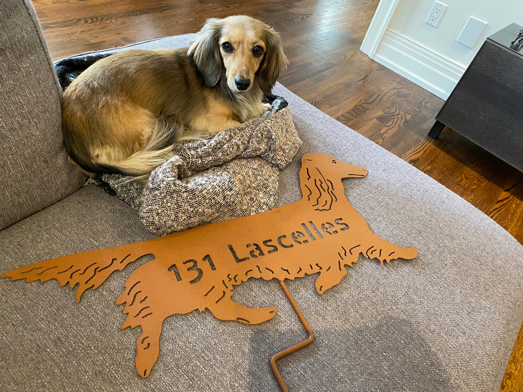 Long Haired Dachshund Statue or Dog Wall Art