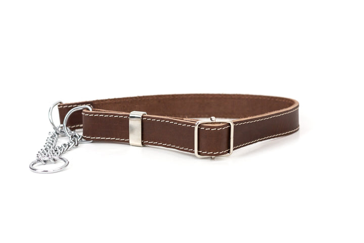 Martingale Leather Dog Collar