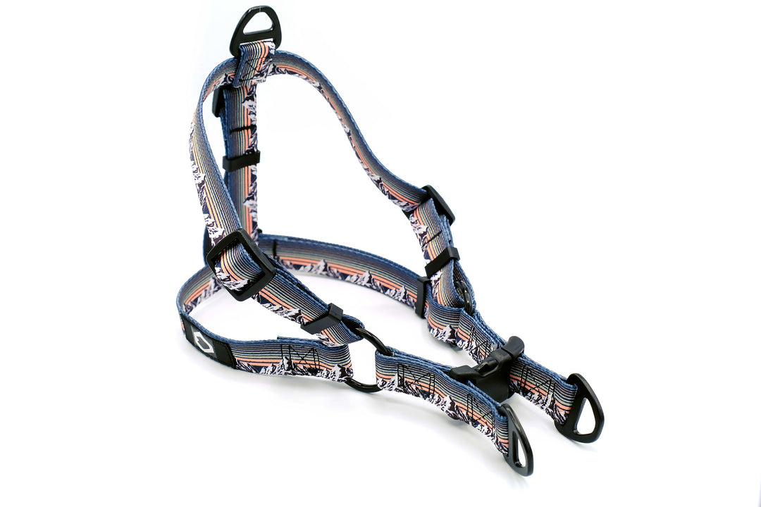 Outdoor Style Nylon Step-In Dog Harness