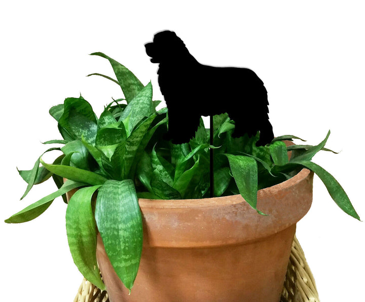 Newfoundland Plant Stake