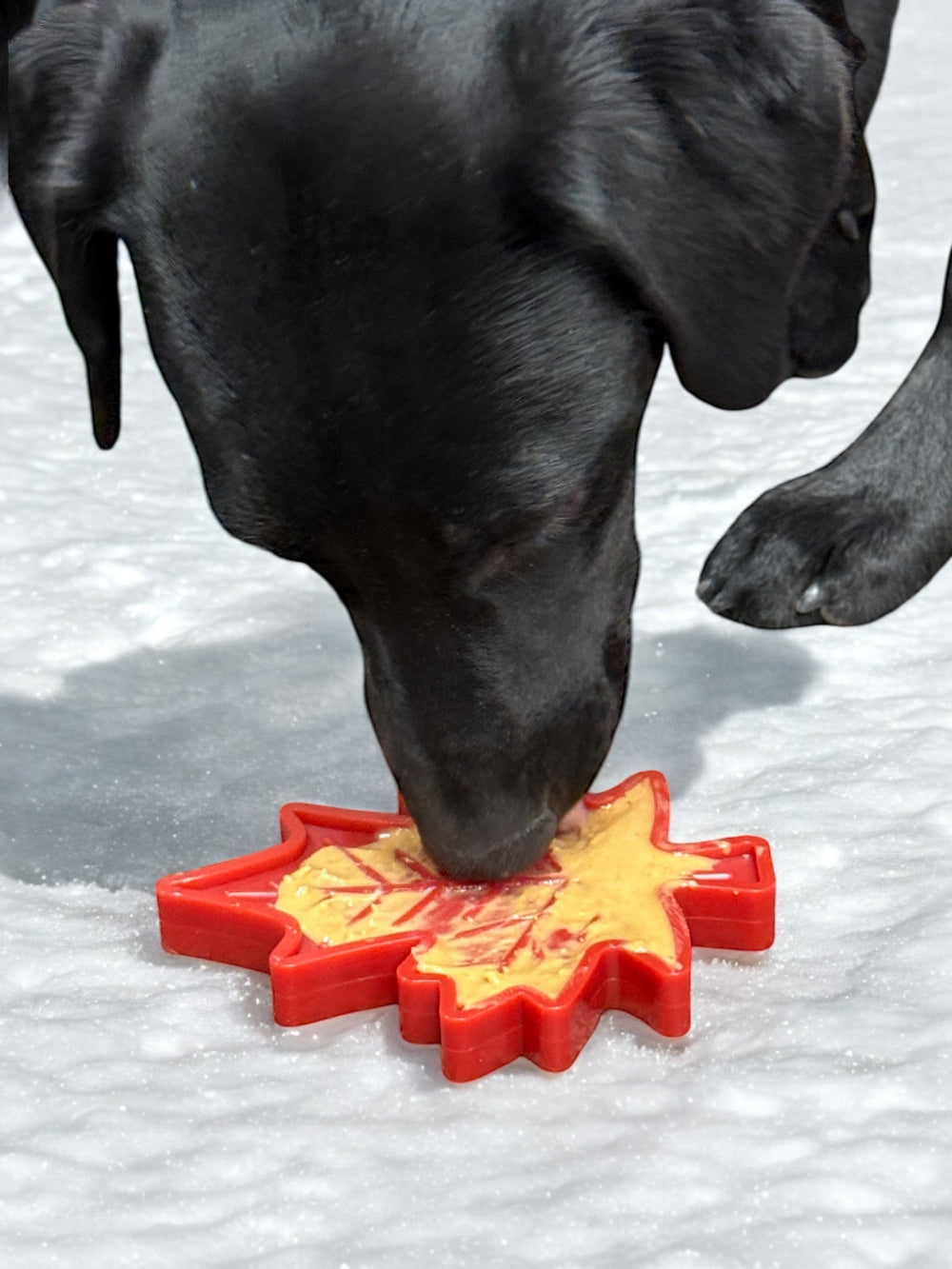 Canadian Maple Leaf Nylon Dog Chew Toy - Indestructible &amp; USA Made