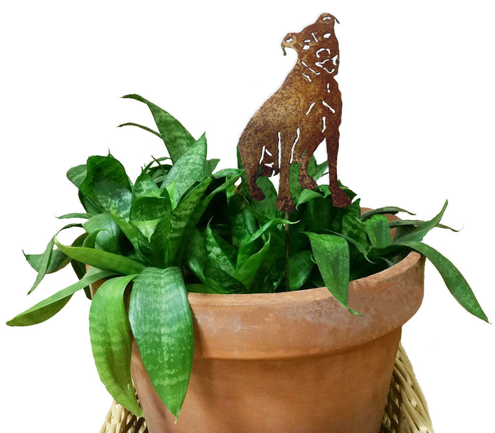 Pit Bull Plant Stake (style 1)