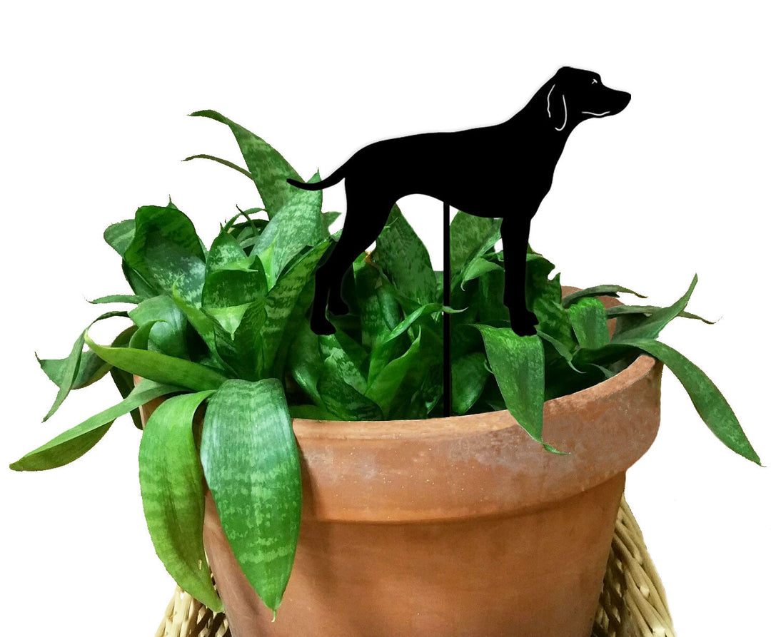 Pointer Plant Stake