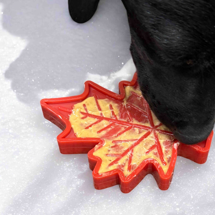 Canadian Maple Leaf Nylon Dog Chew Toy - Indestructible &amp; USA Made