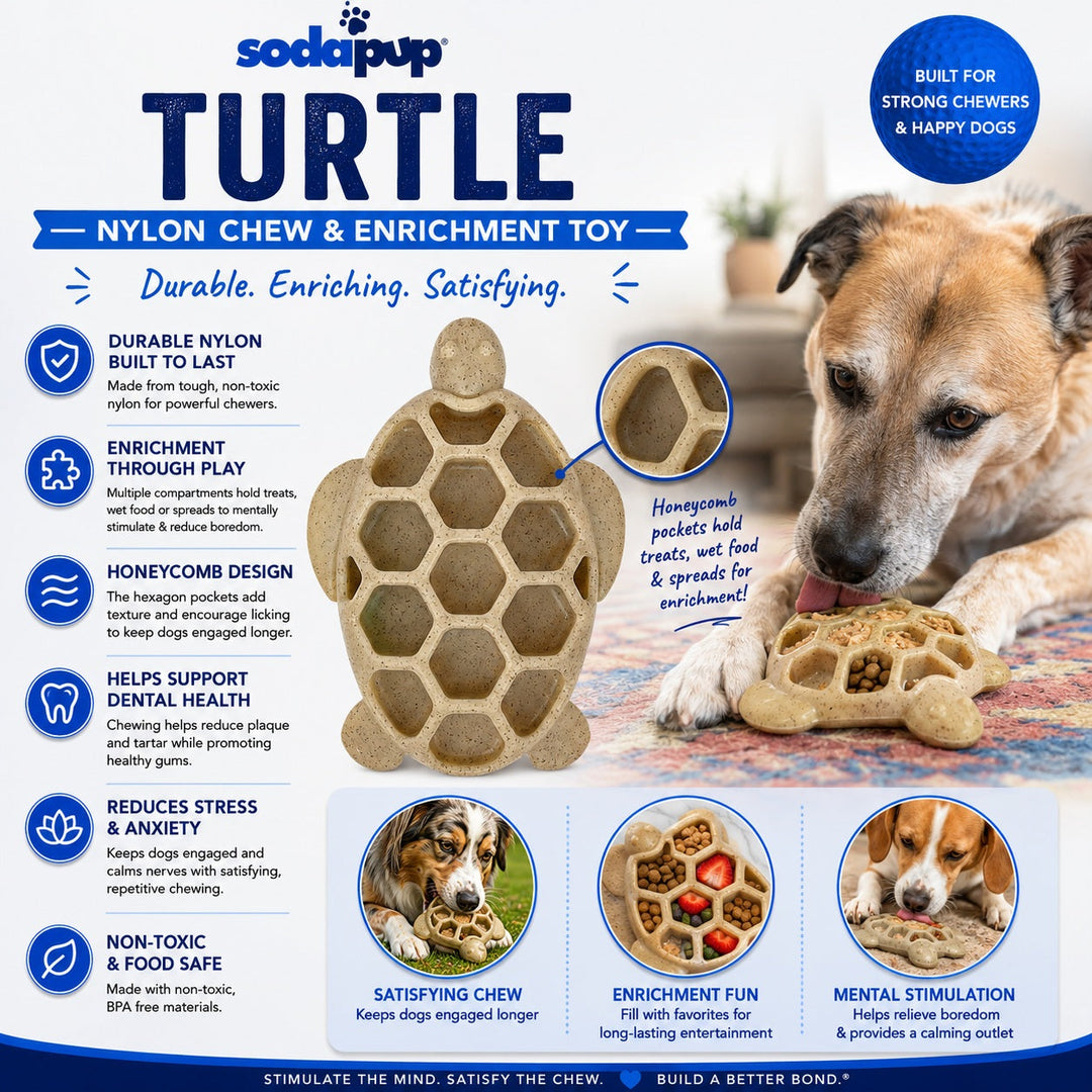 Turtle Nylon Chew Toy - Ultra-Durable Enrichment Toy for Power Chewers USA