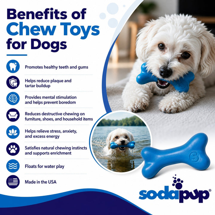 PUP-X Rubber Bone Dog Toy - Durable, Floats, Chew Toy for Large Dogs | USA