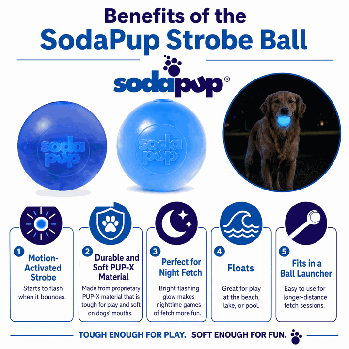 Strobe Ball Light-Up Dog Toy - Durable Floating Chew Ball | Made in USA