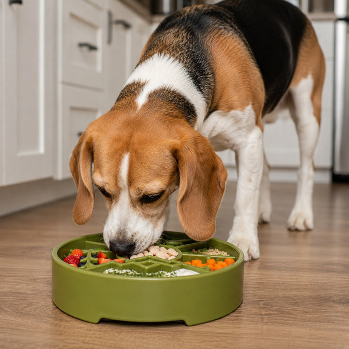 Great Outdoors eBowl - Slow Feeder Dog Bowl &amp; Enrichment | USA Made