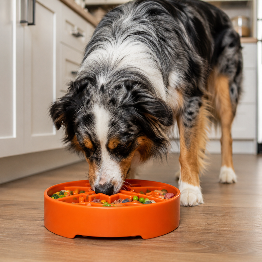 Great Outdoors eBowl - Slow Feeder Dog Bowl &amp; Enrichment | USA Made