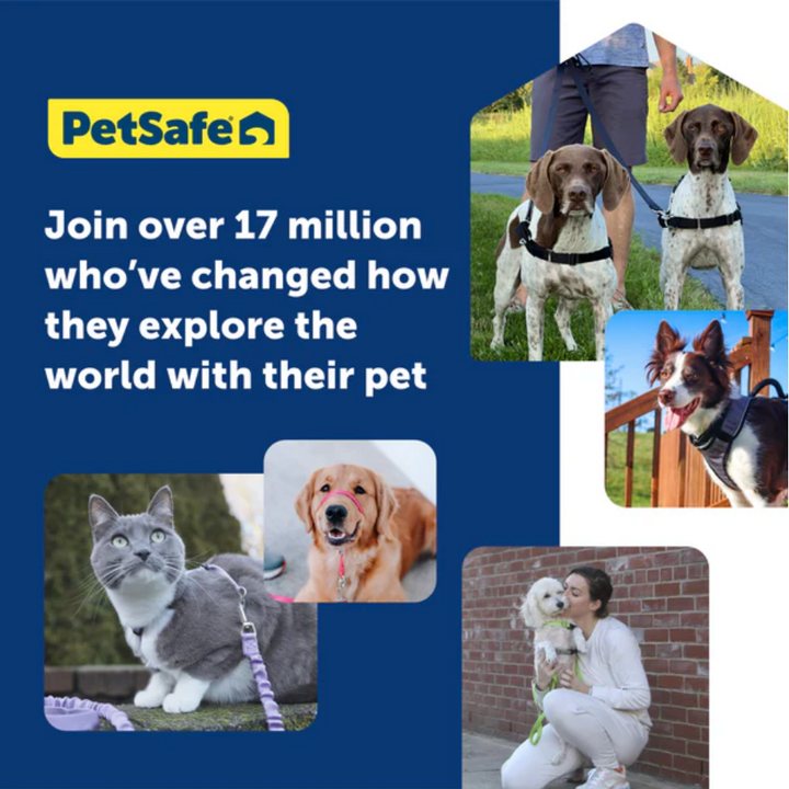 Petsafe Easy Walk Dog Harness Black Small
