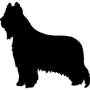 Briard Garden Stake or Wall Hanging
