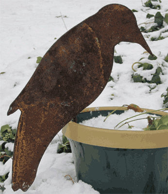 Crow Plant or Garden Stake