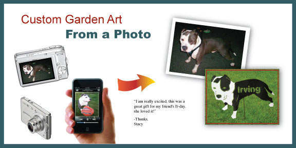 Pet Portraits from Photos / Pet Portraits