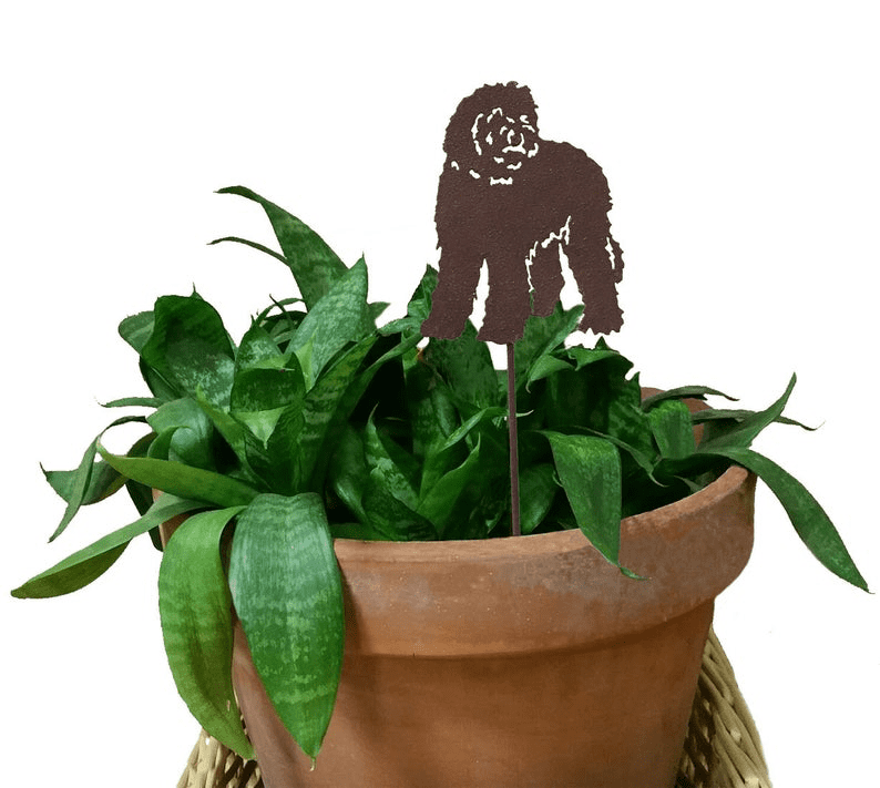 Labradoodle Plant Stake / Decorative Plant Marker